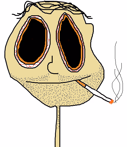 55821112555373048994313304729541094956543670019884432065562933362834146328577