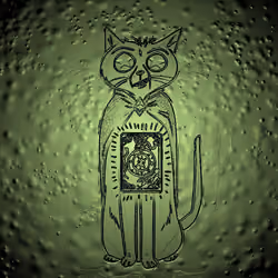 junkycats15