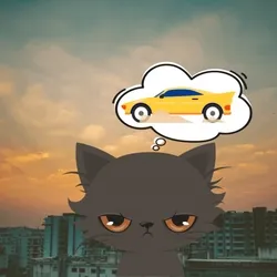 DreamycatCar #1