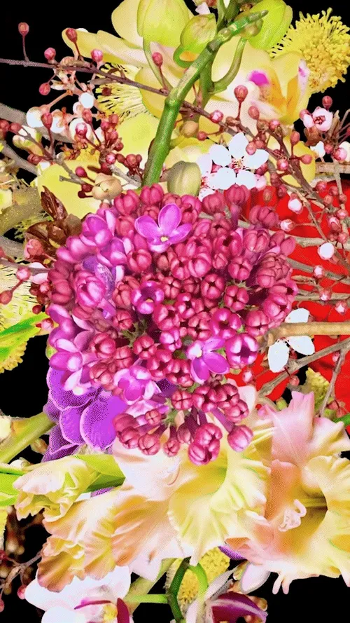 Item #71231624217283081456255847801827661211480774626703836882564083986929463328769 Media