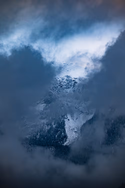 Item #46709965239587215851558087466762379659612403751449934923508460090203037499393 Media