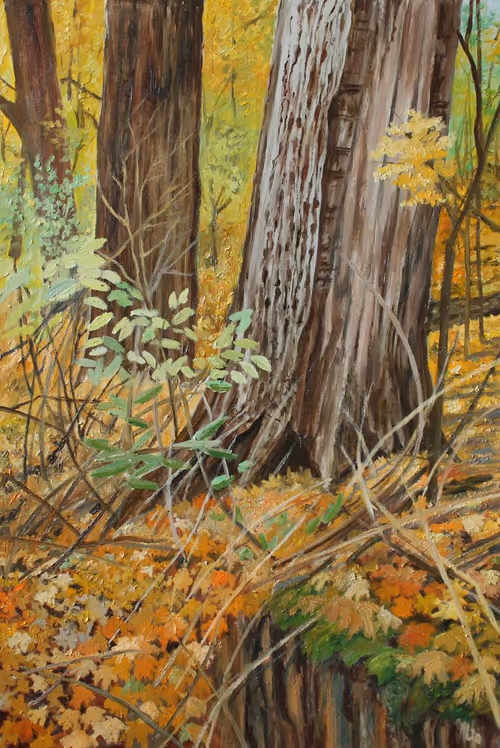 Item #30570506101474719710738310620042499867330861903085432496506805836767844892673 Media