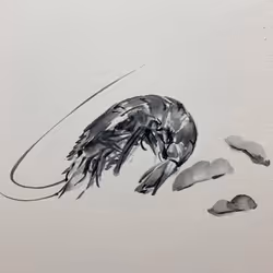 #shrimpandsoy2022