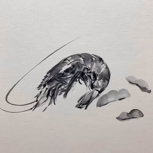 #shrimpandsoy2022