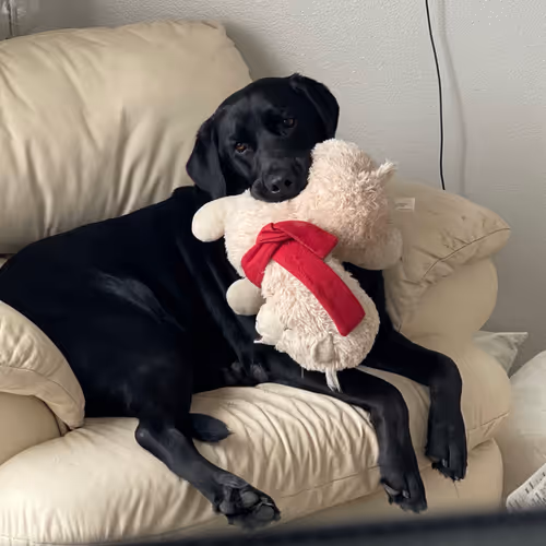 Tuscani03 Collection