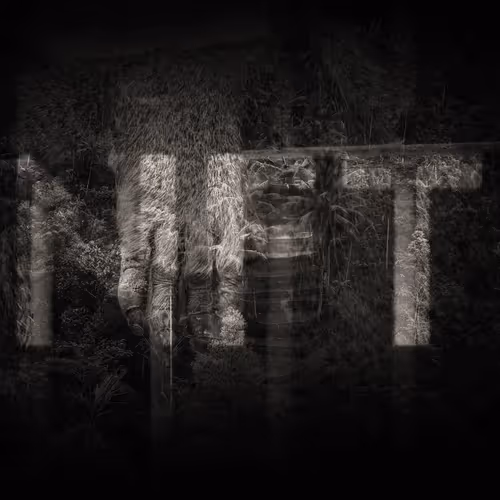 Item #19748210131709604175888015158391583171935635783317755772681144965039722070017 Media