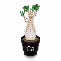 37099701154681292304364637748686122485148065028785244732374660161723615412225