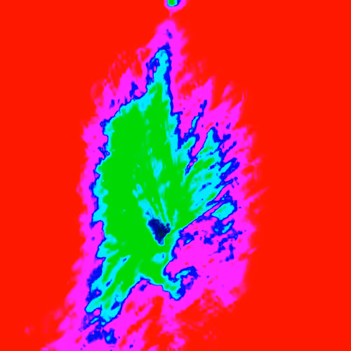 Item #38748192286267356930689689992324455160612969586483070519053316896241007722497 Media