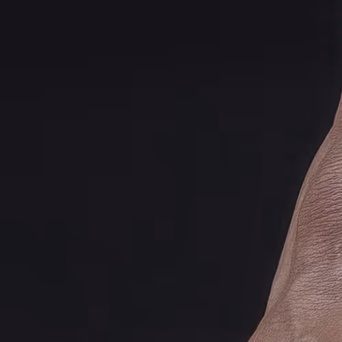 Item #15445115341978895749400258717831267901175031190841581355540861943178921508865 Media