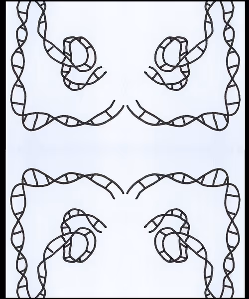 Item #29180037304126350885250495932670393856621816671847715579213757655995922776065 Media