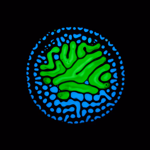 Haematopoiesis #84