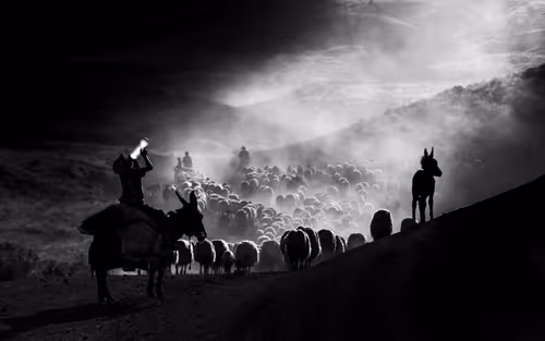 Item #78336967661345018987475827038620529724003295781777730507523429867559724253185 Media