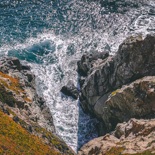 Where Ocean Meets Land 