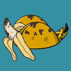 banana taco 
