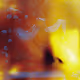Sparks Story