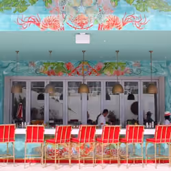 Wes Anderson Tropical Travel 