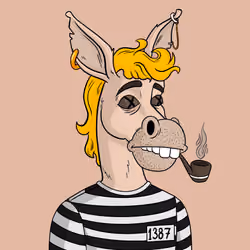 Criminal Donkey 7043
