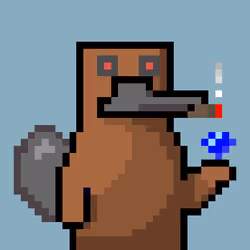 Platy Punk #970