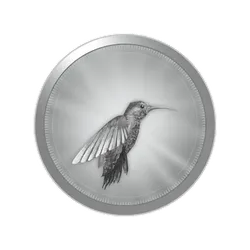 Platinum Hummingbird