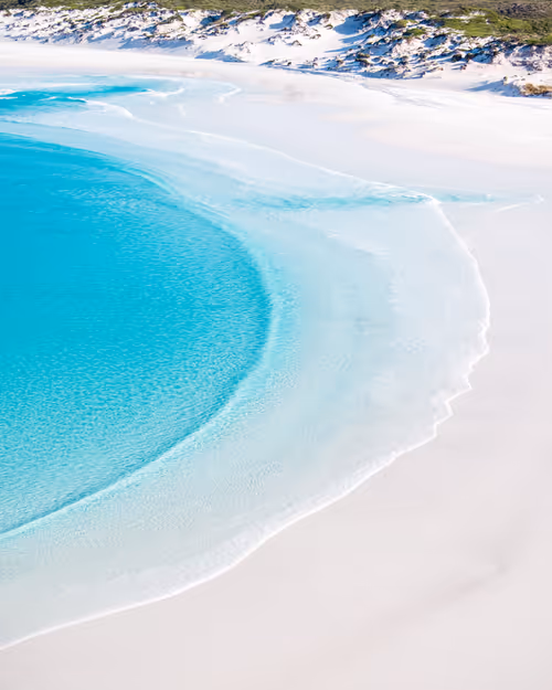 Item #98364308577151193896223353629965486931327977974902168475633960434120370683905 Media