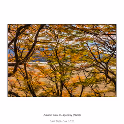 Autumn Color on Lago Grey (NFT)
