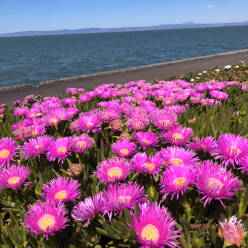 Untitled Collection #68178035