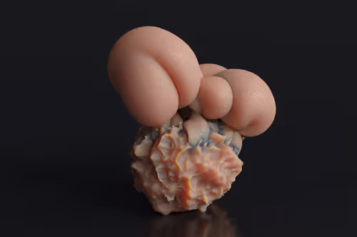 Item #87858548873057691610145785827924316116903784724900626045837508990412076875777 Media