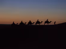 Untitled Collection #42807658