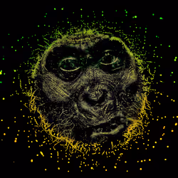 Human Evolution  of Species