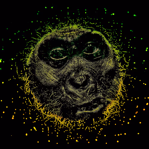 Human Evolution  of Species