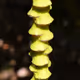 13305190274276249344360428952709191807302051370666400398999558746108353052673