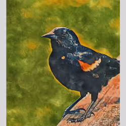 55704534837685659622621715309832868758345944585427688586690141424559948038145