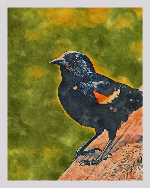 Item #55704534837685659622621715309832868758345944585427688586690141424559948038145 Media