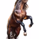 20017569487095625188583999169087396789572010710261469491811713336312305025025