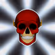 FLSH Skull