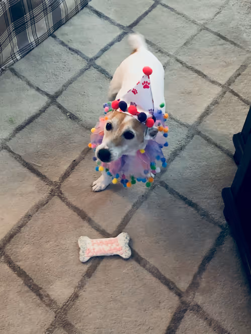 Item #5985210497355107417265215381210579199842884272282595265964883417707516526593 Media