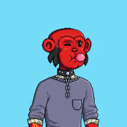 24501027083874393306898292102291113773597434786230668256473111467853374029825