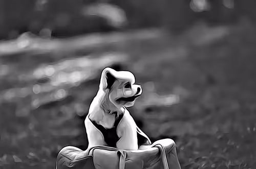 Item #21607923784025543658024067331009769919395041958272689574271021135355040497665 Media