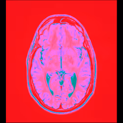 64162533542198579898252916190583583845604629893829087458582976482465296678913