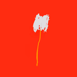 White Flower