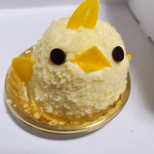 Untitled Collection #3273774165