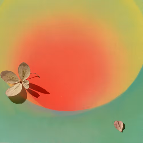 Item #1532535886274578000109639378906654235435135364662843185257811181870241546250 Media