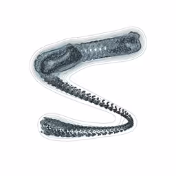 Item #87495691051819618160782043165871758120745529937108859909899536681350710951937 Media