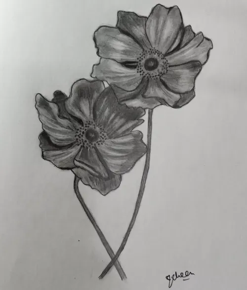 Item #55986617302409629486759846259040043364516686795130712673458847413479717994497 Media