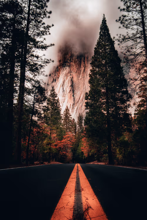 Item #21435634682600344135005238174121959533837451987004048477005603953737138700289 Media