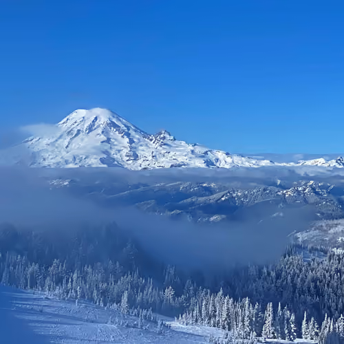 "Bound in Waves" - Mt. Rainier, WA