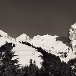 Yaute Alpes #11