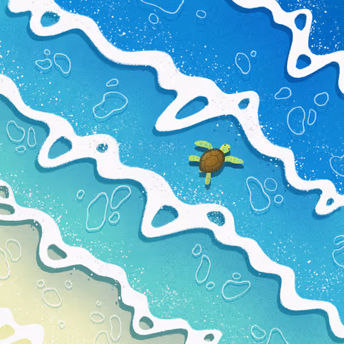 22595162815532753526113839877592438025422193508415084898168917345697926217729