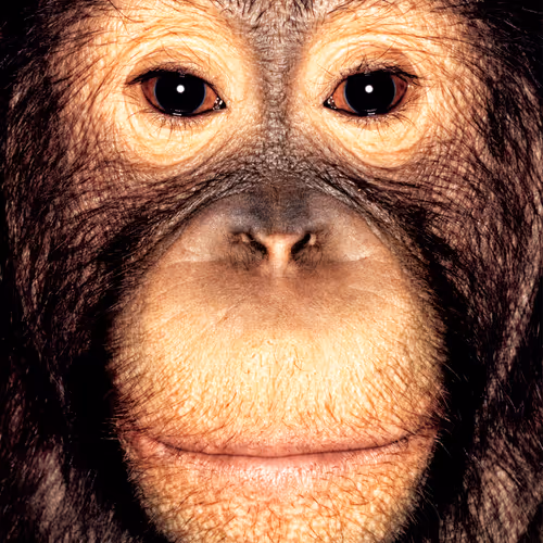 109162157552346088047496633038404394118504199992061596446112929731574012837889