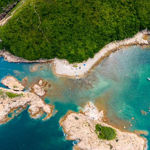 Green Egg Island